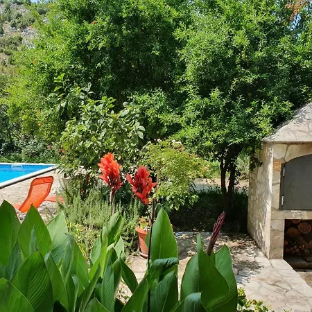 Velagic Πανσιόν 3*